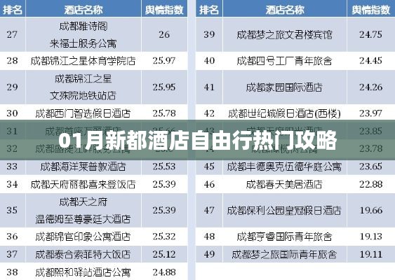 「新都酒店自由行指南，热门攻略一网打尽」
