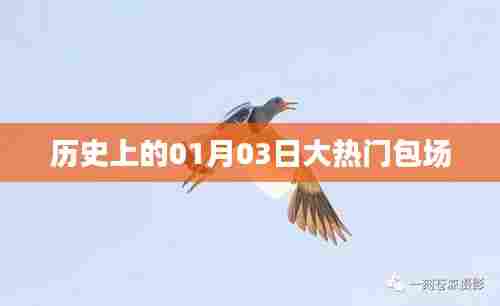 热门包场背后的故事，揭秘历史上的那些日子