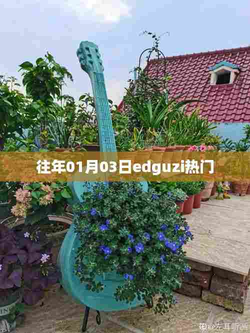 元旦后Edguzi持续火热,揭秘其背后的秘密