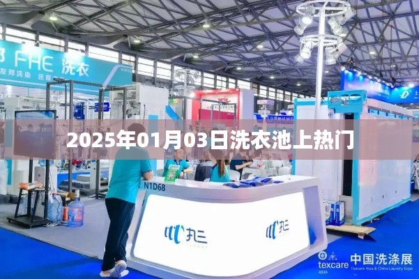 洗衣池话题大热,日期揭秘背后的故事