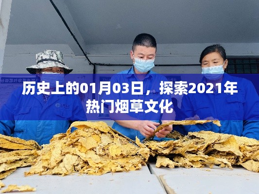 鸟栖虫居 第5页