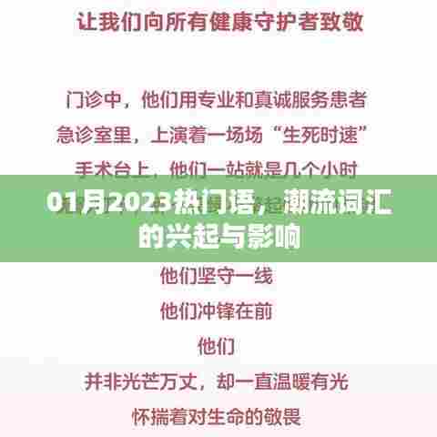 2023年1月热门语汇，潮流词汇的崛起与影响