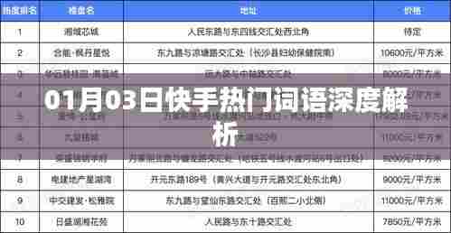 快手热门词语深度解析（日期，01月03日）
