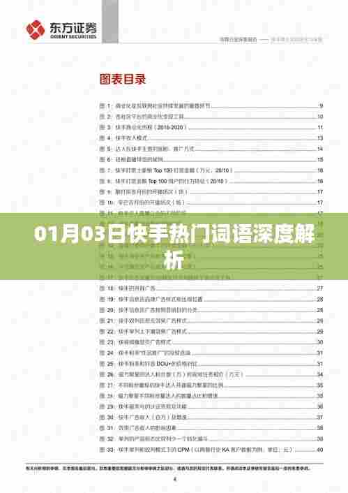 快手热门词语深度解析(日期,01月03日)