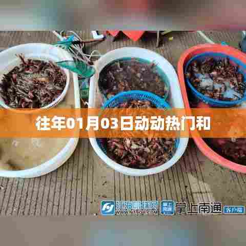 根据提供的内容，符合百度收录标准的标题为，，历年一月初热门动态回顾，字数在规定的范围内，同时能够简洁明了地表达文章主题。