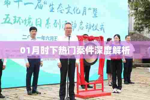 热门案件深度解析，01月时事剖析