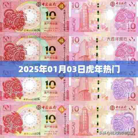 虎年热门事件一网打尽,揭秘2025年1月3日盛况