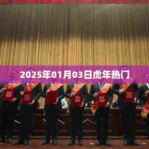 虎年热门事件一网打尽,揭秘2025年1月3日盛况