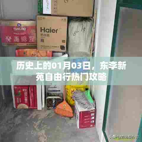 东李新苑自由行指南，一月三日热门攻略