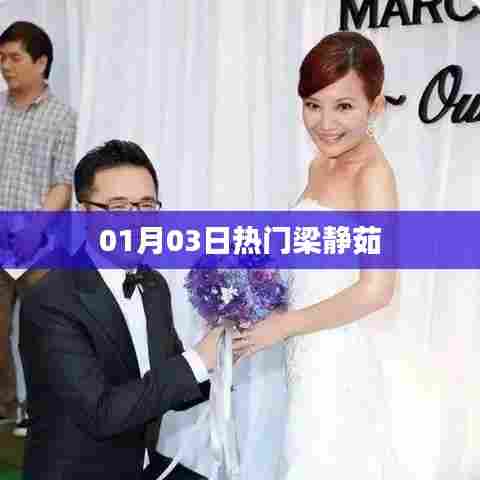 梁静茹最新热门动态，01月03日资讯速递