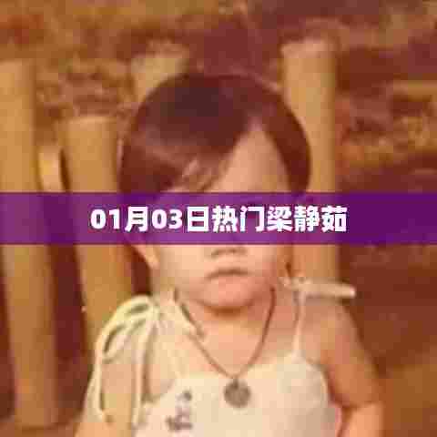 梁静茹最新热门动态,01月03日资讯速递