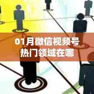 微信视频号热门领域概览（一月版）