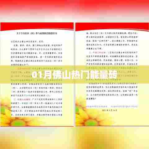 佛山一月热门能量砖，选购指南