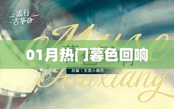 最新暮色回响热点话题解析