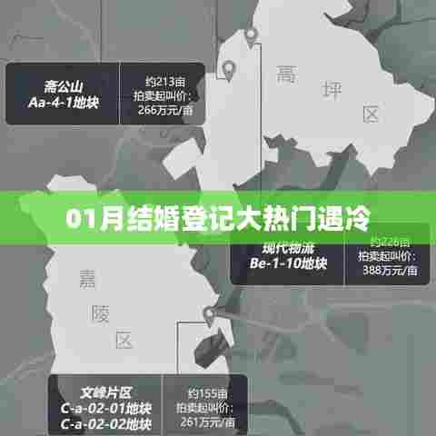 新年首月结婚登记热度下降