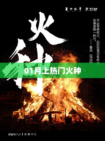 热门火种点燃一月激情时刻!