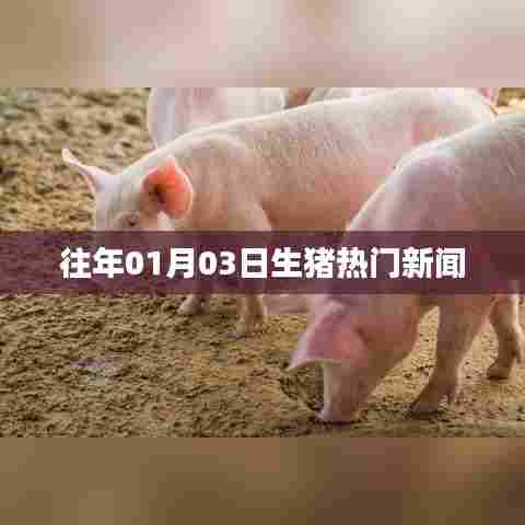 历年元旦后生猪市场动态热点新闻回顾