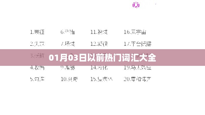 01月03日前流行词汇总览