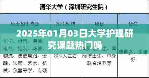 2025年大学护理研究课题趋势与热门分析