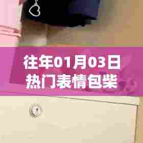 柴犬动图表情火热来袭!历年一月三日最in表情包盘点