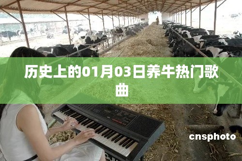 接连不断 第4页