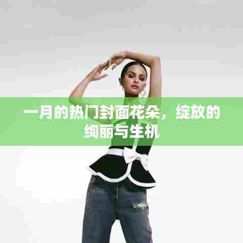 一月热门封面花朵,绽放的生机与绚丽