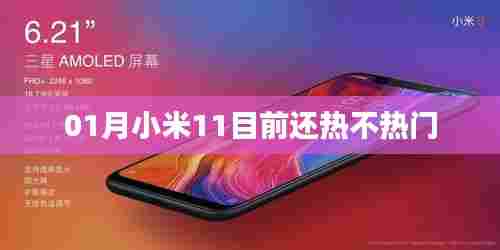 小米11热度持续不减,一月仍受关注