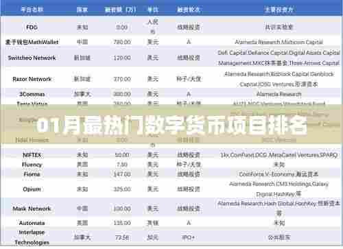 01月数字货币项目热门排名榜单揭晓