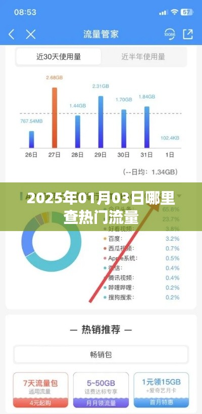 『实时掌握,2025年热门流量查询指南』