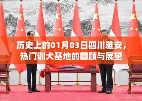 四川雅安热门训犬基地回顾与展望,历史变迁下的新展望