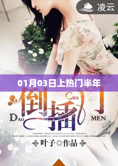 热门事件揭秘,半年内持续火热,深度解析上榜原因