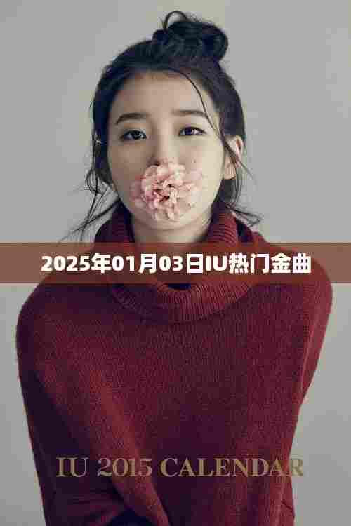 IU 2025年热门金曲回顾