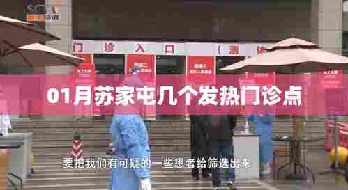 苏家屯区一月份发热门诊点布局