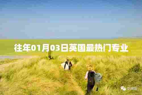 英国热门专业榜单揭晓,历年趋势解析