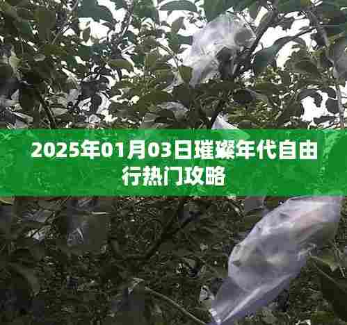 璀璨年代自由行指南,热门攻略一网打尽