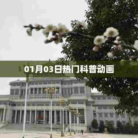 科普动画盛宴来袭，最新热门动画盘点