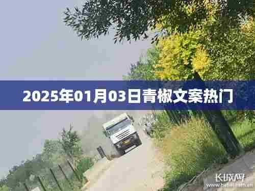 青椒文案风潮席卷,揭秘热门文案背后的故事,日期2025年1月3日