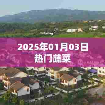 2025年元旦热门蔬菜榜单出炉