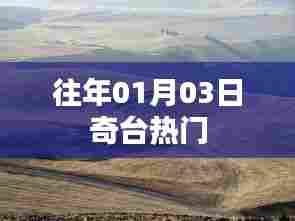 奇台元旦后热门事件回顾