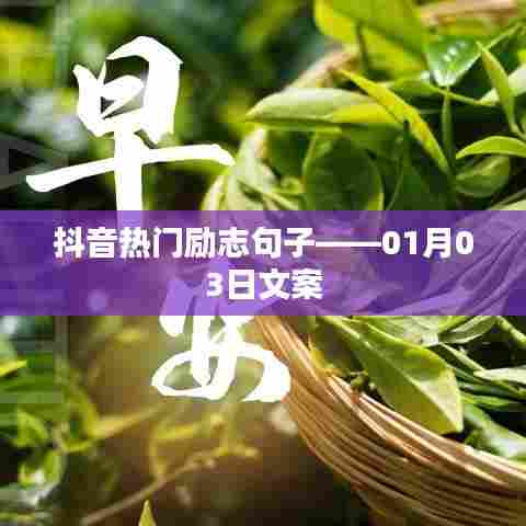 抖音励志句子精选，新年新气象，奋斗正当时