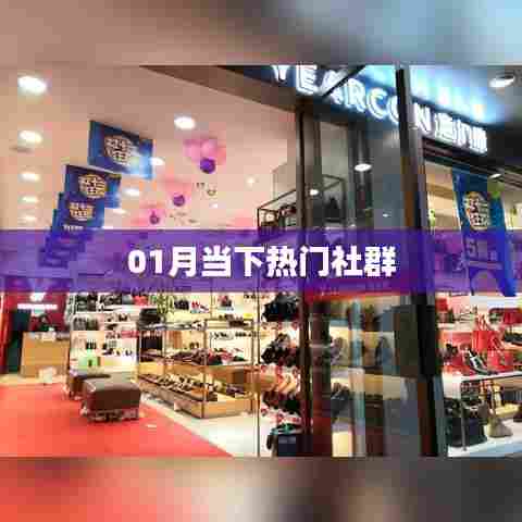 当下热门社群动态解析