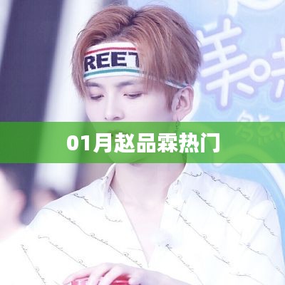 赵品霖一月爆红时刻