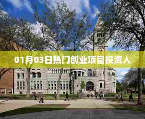热门创业项目投资人动态解析,最新投资趋势观察
