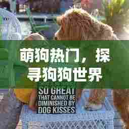 萌狗世界,探寻狗狗的魅力时光