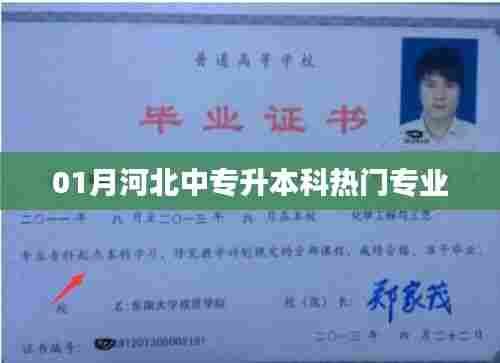 河北中专升本科热门专业解析