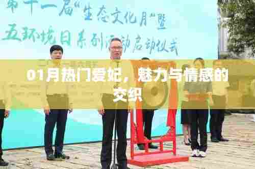 飞蝗芜湖 第4页