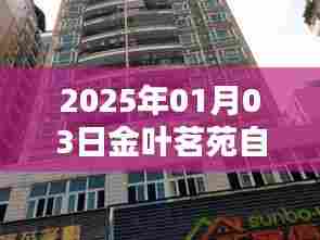 金叶茗苑自由行指南,精选攻略,畅游2025年新年