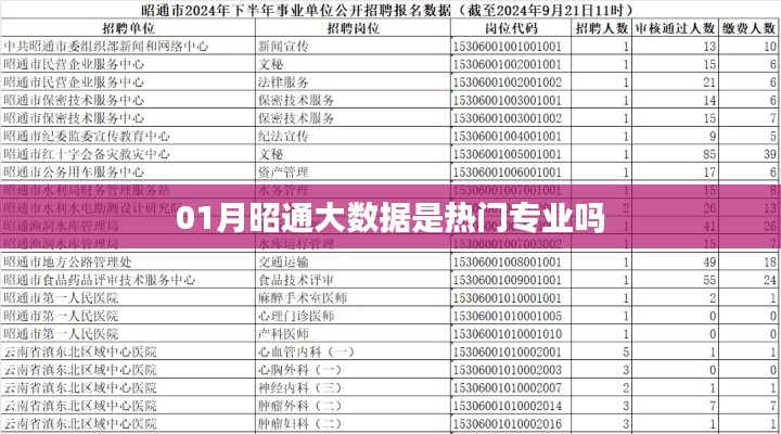 昭通大数据专业热门程度分析