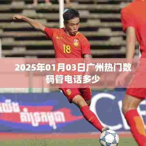 广州数码管电话多少?最新查询结果揭晓