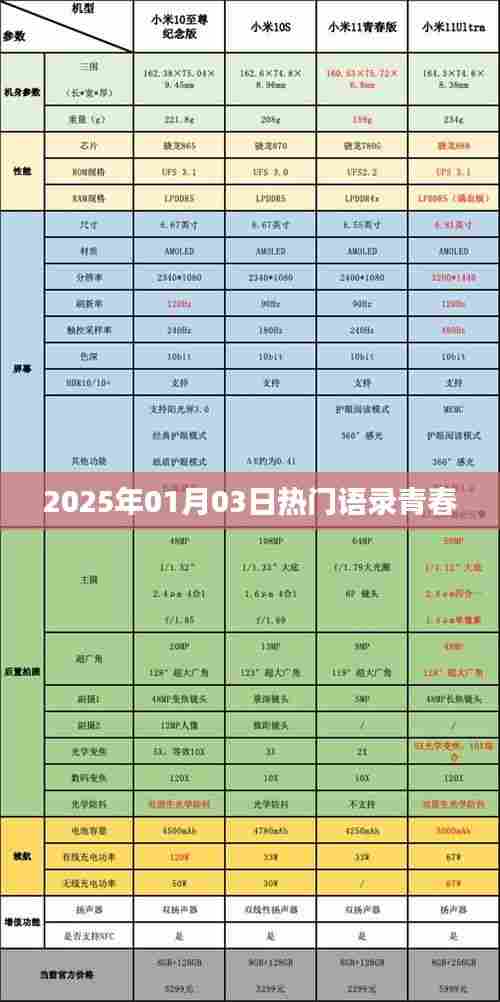 青春励志语录，2025年热门青春语录